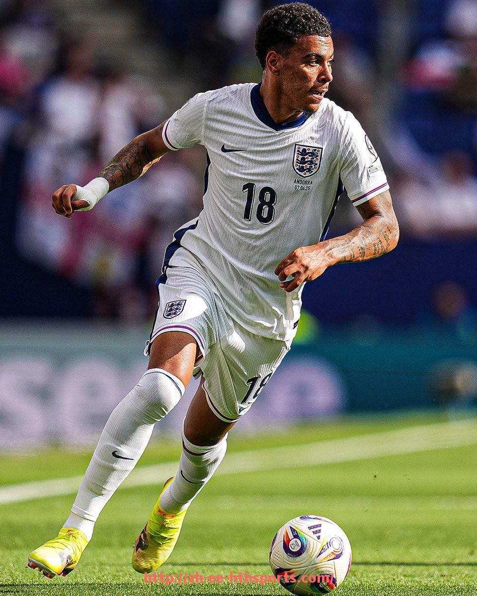 华体会hth登录入口-意甲联赛球队主力阵容及核心球员介绍