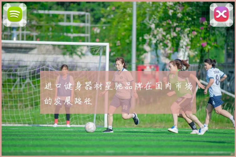 进口健身器材星驰品牌在国内市场的发展路径